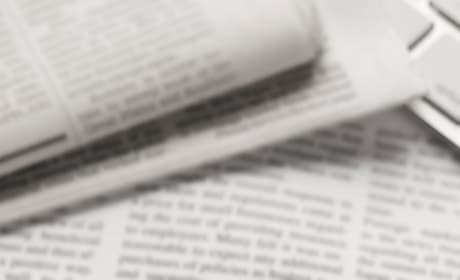 Decorative/Decoratif